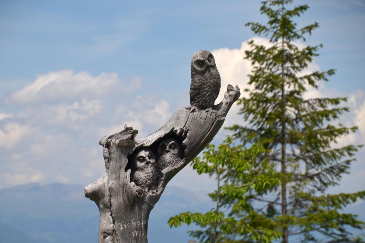 Tschafon Voelseggspitze 28.06.2021